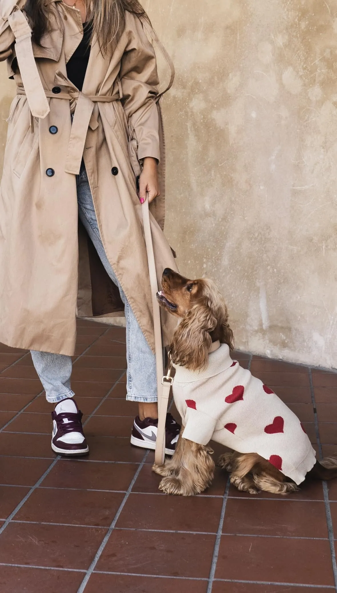 Beige Heart Dog Sweater